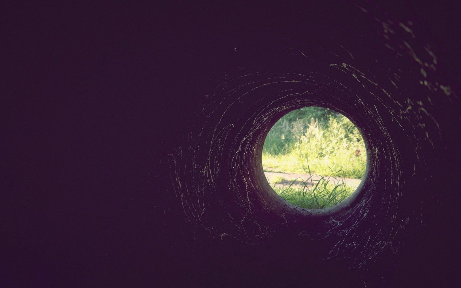 View from inside a stadium tunnel looking out onto the playing field, bright grass framed by dark concrete arch